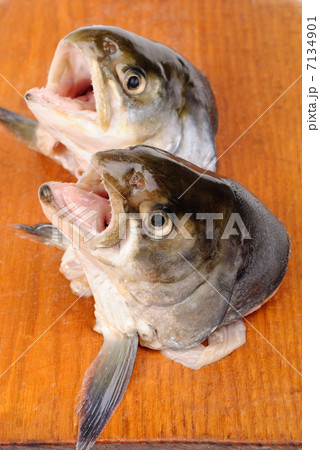 Salmon's heads on  cutting board, isolated on white background 7134901