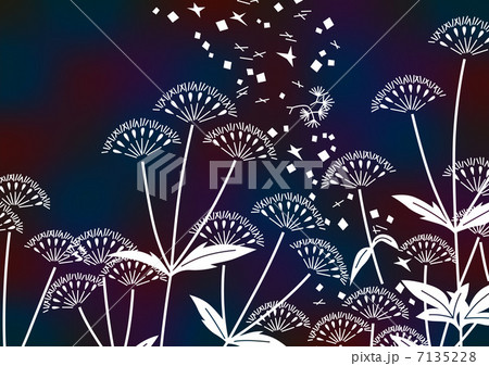 グラフィックパターン 7135228