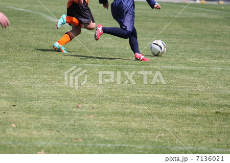 サッカー 7136021