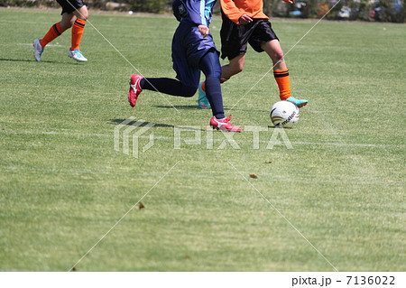 サッカー 7136022
