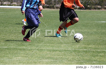 サッカー サッカー 7136023