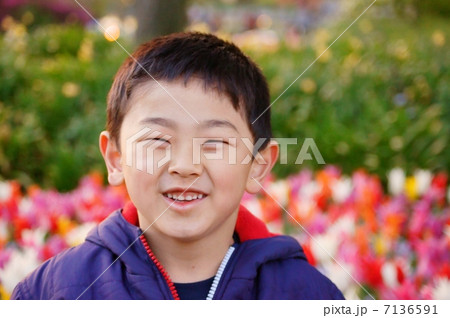 チューリップ畑にて In A Field of Tulips チューリップ畑にて In A Field of Tulips 7136591