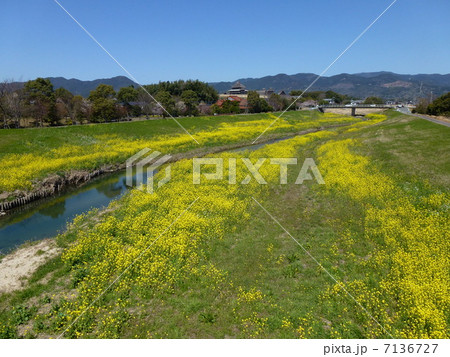 佐賀・吉野ヶ里遺跡 7136727