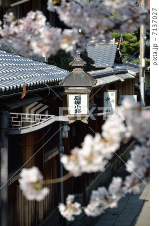 石塀小路の行灯 7137027