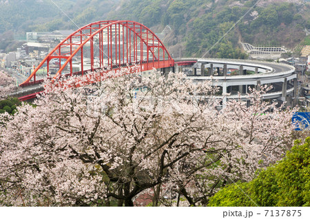 広島　呉市　音戸大橋 7137875