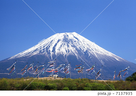 富士山に泳ぐ鯉のぼり 7137935