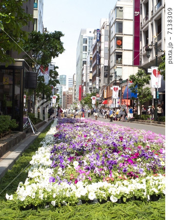 みゆき通り花まつり みゆき通り花まつり 7138309