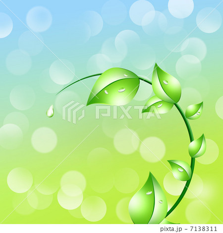 エコロジー　 7138311