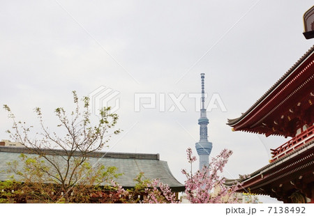 春の風景・浅草寺五重塔の屋根とスカイツリーのてっぺん・横位置 7138492