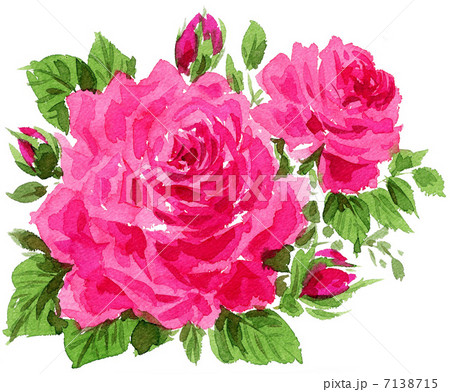 Rosespix1のイラスト素材
