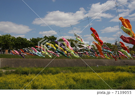 春の子供 春の子供 7139055