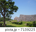 今帰仁城跡 7139225