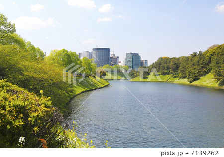 さわやかな春の皇居のお堀、桜田壕 7139262