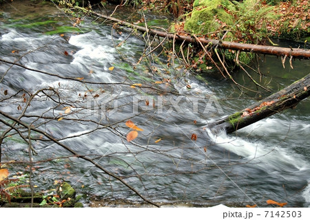 Dirty stream 7142503