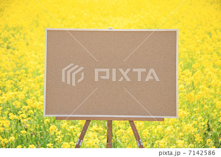 コルクボード 7142586