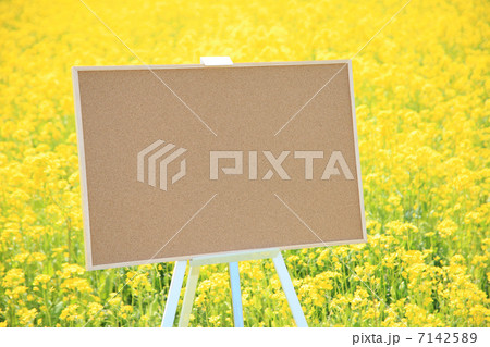 コルクボード 7142589