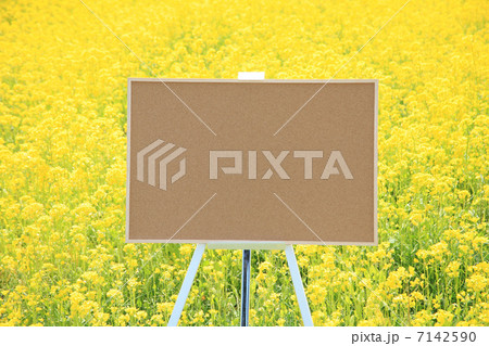 コルクボード　 7142590