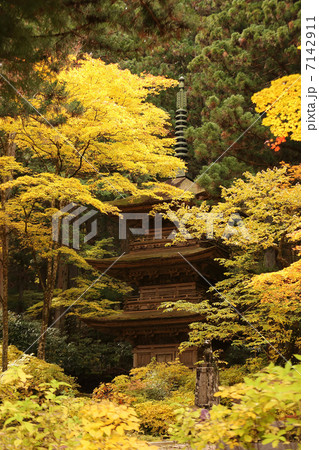 早太郎と三重塔 早太郎と三重塔 7142911