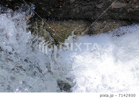 天然鮎の遡上 7142930