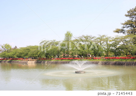 八条が池の噴水 7145443