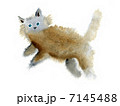 ネコ 7145488
