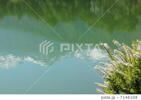 千人塚公園城ヶ池 千人塚公園城ヶ池 7146108