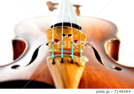 ヴァイオリン 7146464