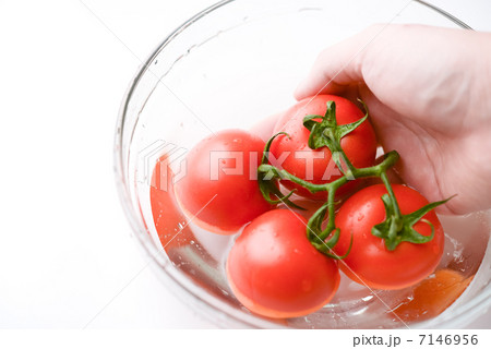 トマトとボウル トマトとボウル 7146956
