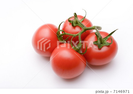 トマト 7146971