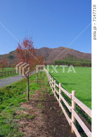 蒜山高原 7147710