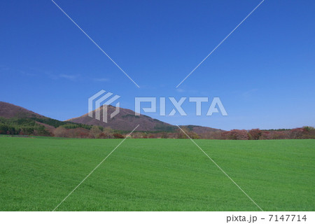 蒜山高原 7147714