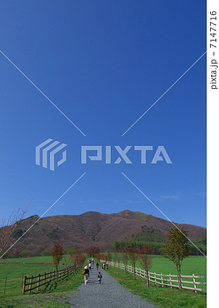 蒜山高原 7147716