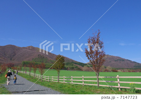 蒜山高原 7147723