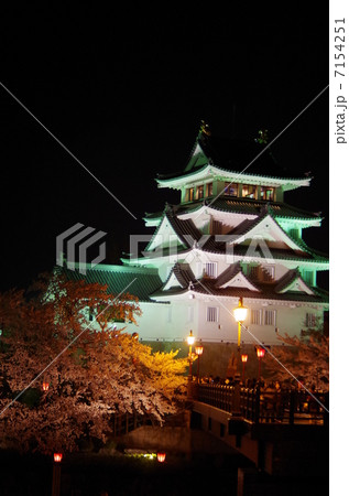 一夜城と桜 一夜城と桜 7154251