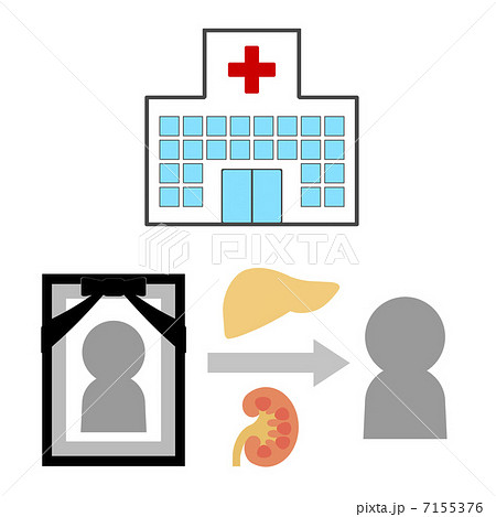 Organ Transplantation Stock Illustration