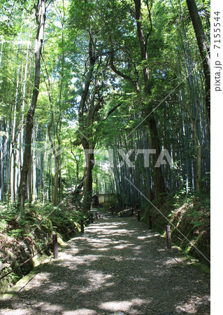 嵐山　地蔵院　竹の寺の山門 7155544