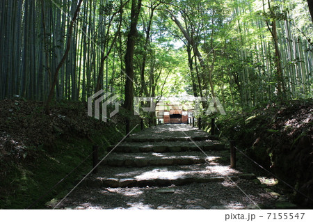 嵐山 地蔵院 竹の寺の山門 嵐山 地蔵院 竹の寺の山門 7155547