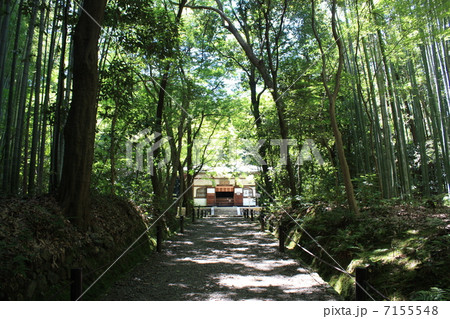 嵐山　地蔵院　竹の寺の山門 7155548