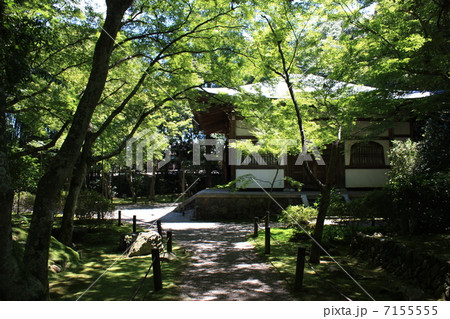 嵐山 地蔵院 竹の寺の山門 嵐山 地蔵院 竹の寺の山門 7155555