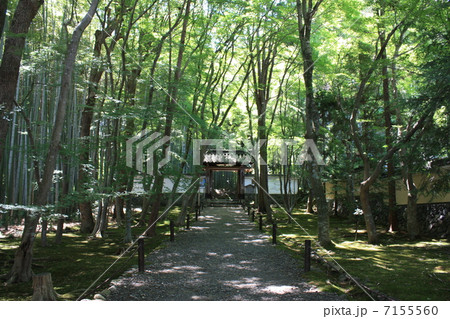 嵐山 地蔵院 竹の寺の山門 嵐山 地蔵院 竹の寺の山門 7155560