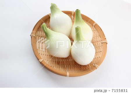 サラダ玉ねぎ サラダ玉ねぎ 7155831