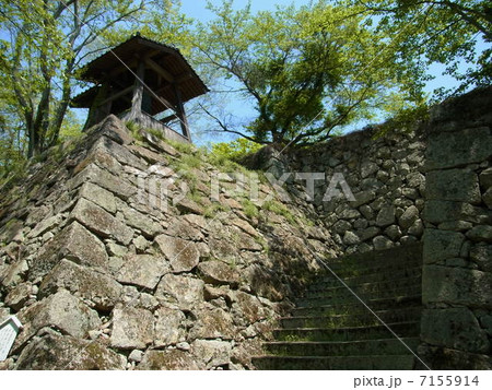 鶴山公園(津山城跡) 鶴山公園(津山城跡) 7155914