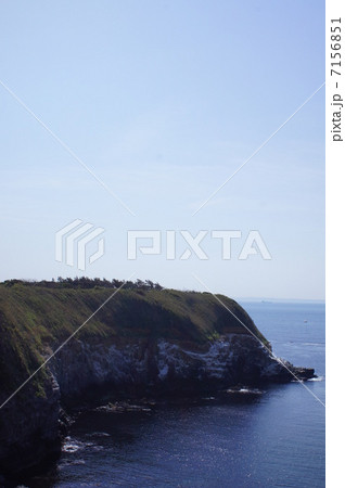 赤羽根海岸 7156851