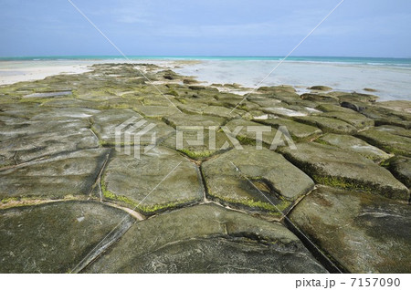 畳石 畳石 7157090