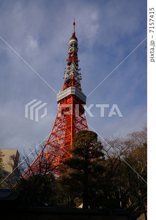 東京タワー 東京タワー 7157415