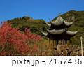 串木野　望嶽亭 7157436