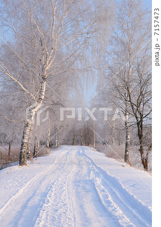 Winter 7157473