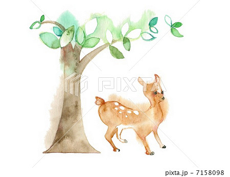 子鹿とかしの樹のイラスト素材