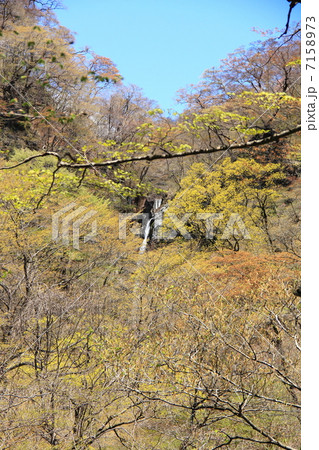 不動大滝(赤城山) 不動大滝(赤城山) 7158973