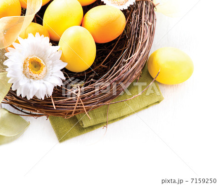 Easter. Painted Easter Eggs and Spring Flowers in the Nest Easter. Painted Easter Eggs and Spring Flowers in the Nest 7159250